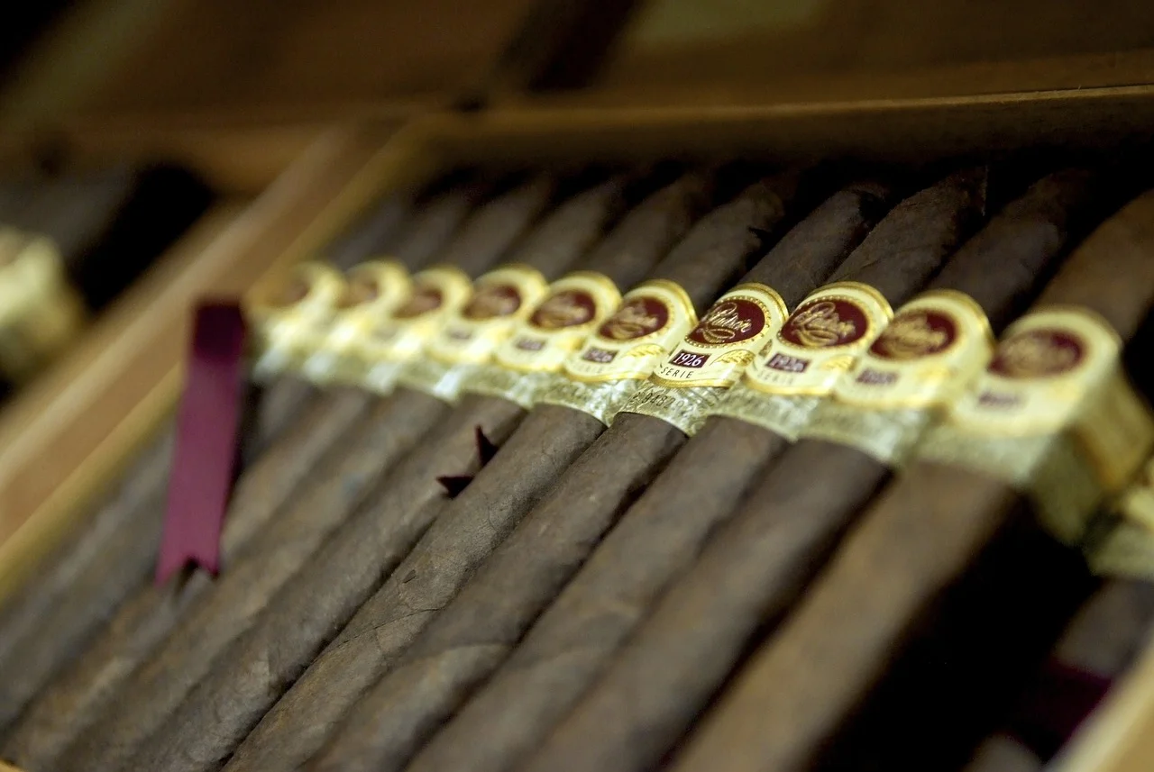 cigar, cigars, cigars in box
